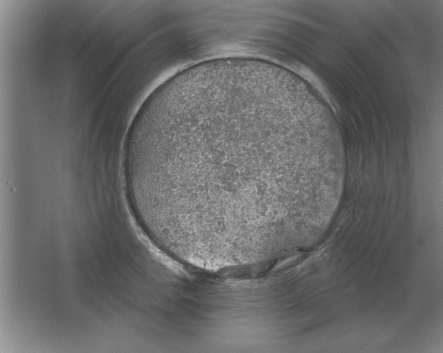 X0000067471142200604281847