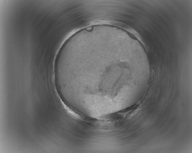 X0000067471143200604281847