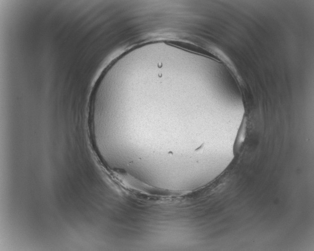 X0000067471146200604281847