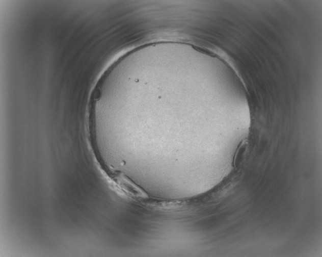 X0000067471147200604281847