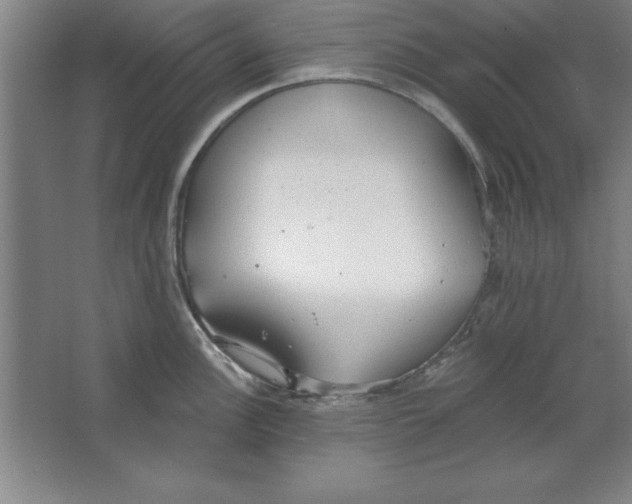 X0000067471148200604281847