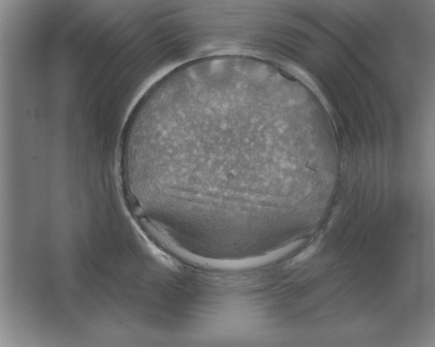 X0000067471149200604281847