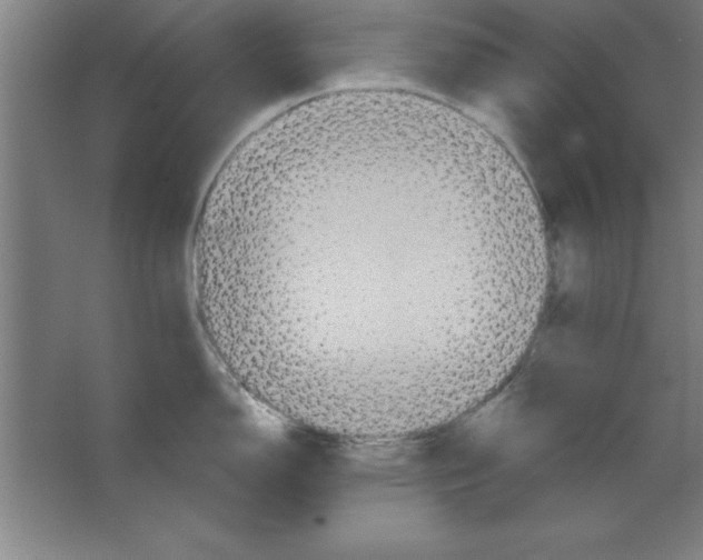 X0000067471150200604281847