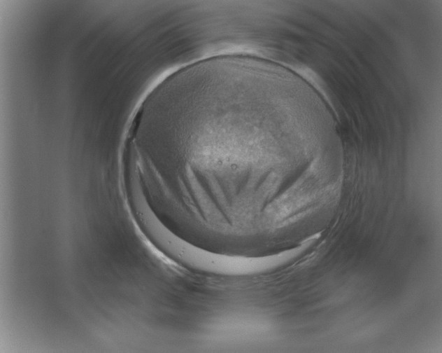 X0000067471151200604281847