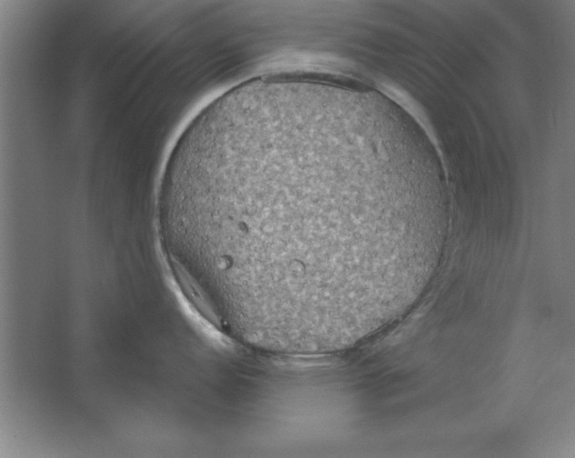 X0000067471152200604281847