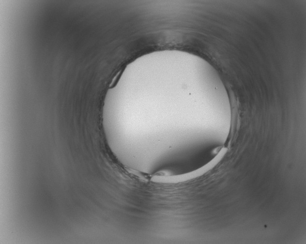 X0000067471153200604281847