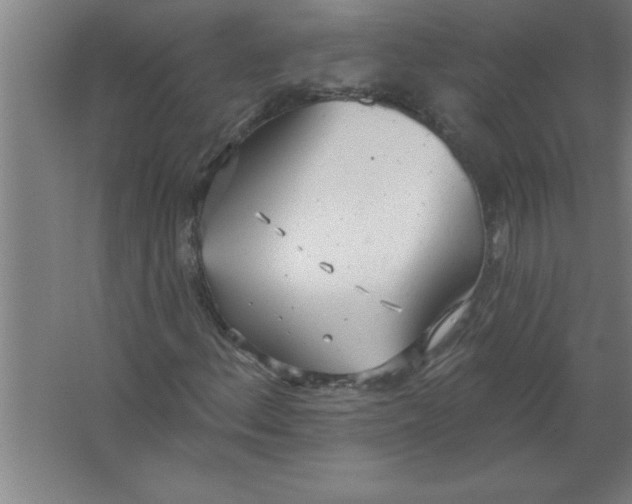 X0000067471156200604281847