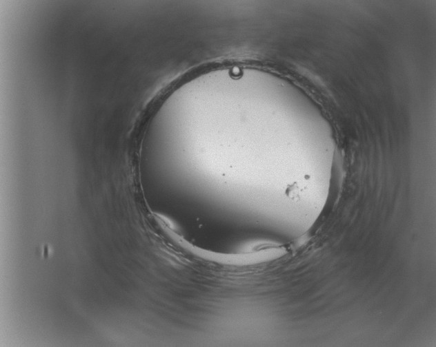 X0000067471160200604281846