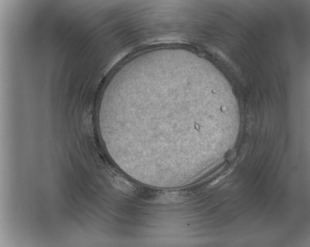 X0000067471162200604281846