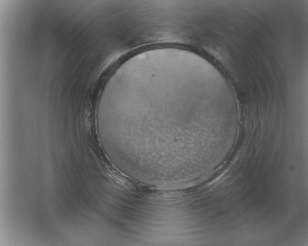 X0000067471163200604281846