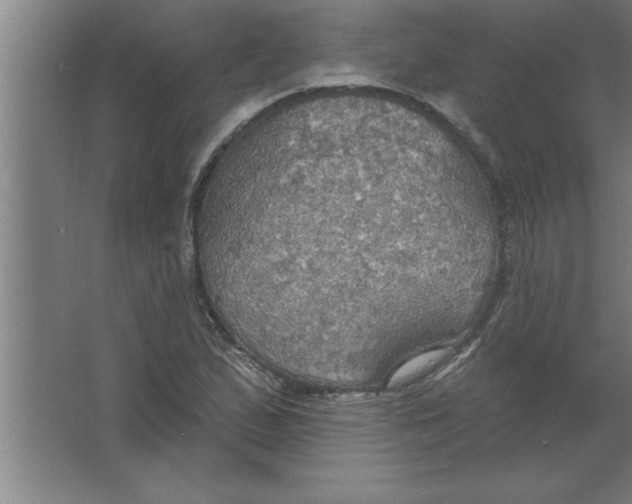 X0000067471167200604281846