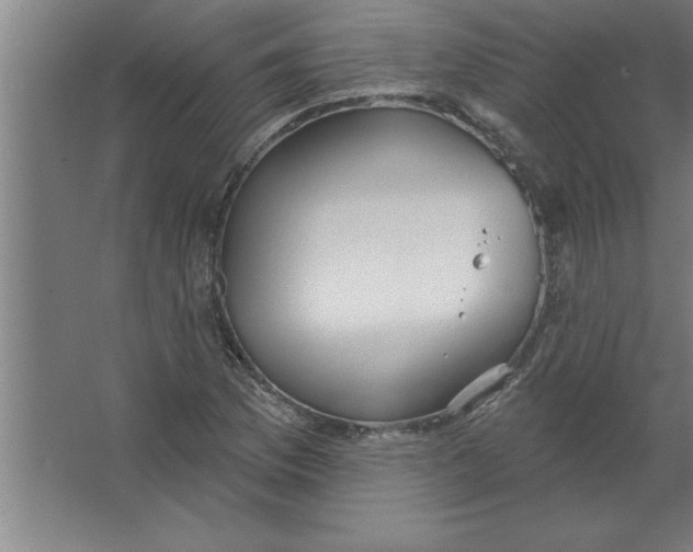 X0000067471169200604281846