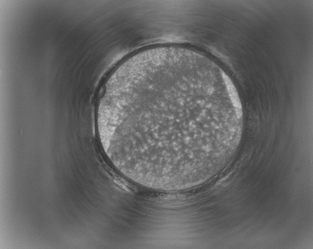 X0000067471171200604281846