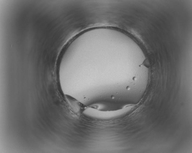 X0000067471173200604281846