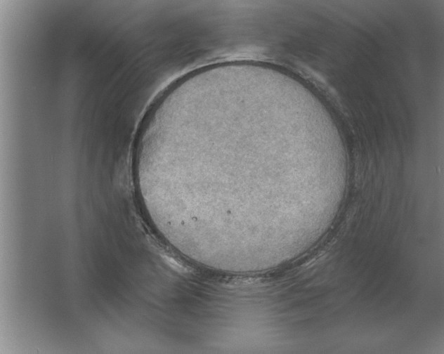 X0000067471174200604281846