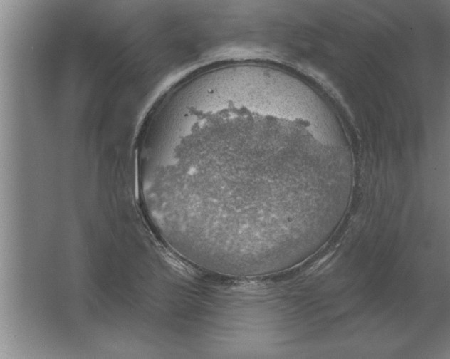 X0000067471175200604281846