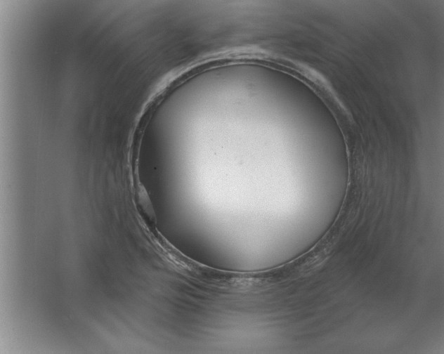 X0000067471176200604281846