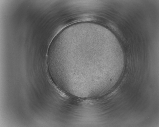 X0000067471178200604281846