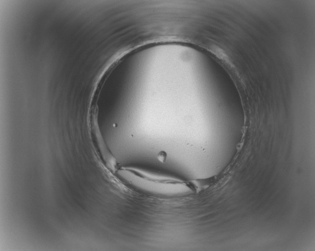 X0000067471181200604281846