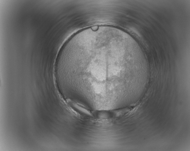 X0000067471182200604281846