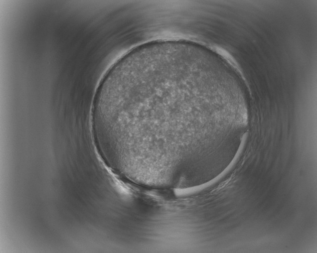 X0000067471183200604281846