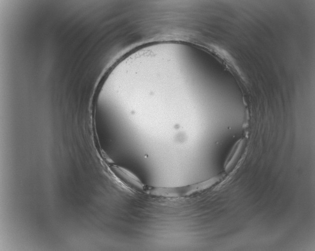 X0000067471184200604281846