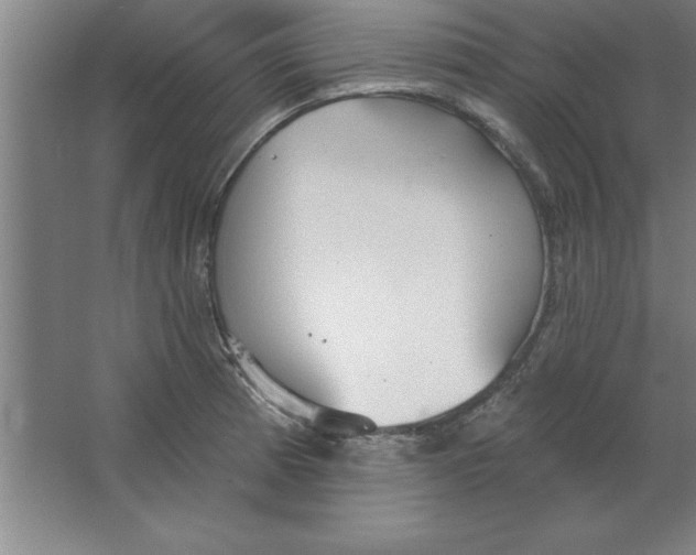 X0000067471185200604281846