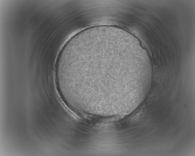 X0000067471187200604281846