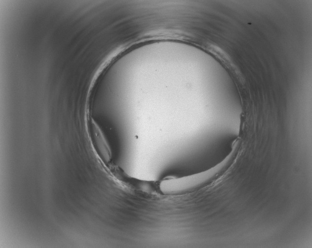 X0000067471188200604281846