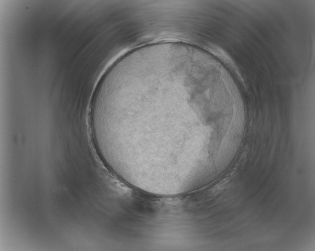 X0000067471190200604281846