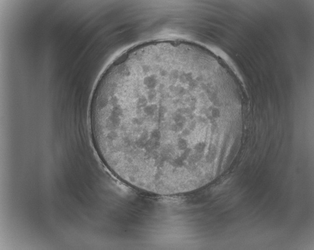 X0000067471191200604281846