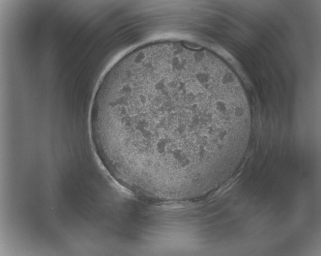 X0000067471199200604281846