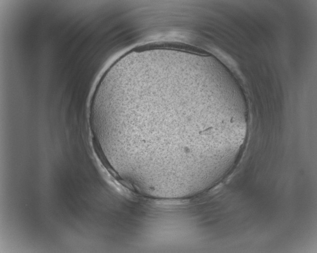 X0000067471200200604281846