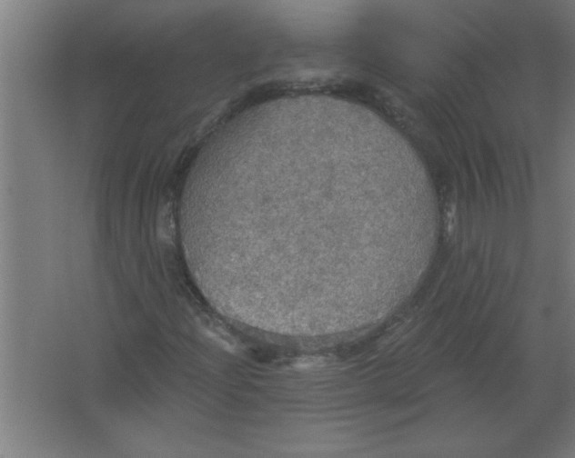 X0000067471204200604281845