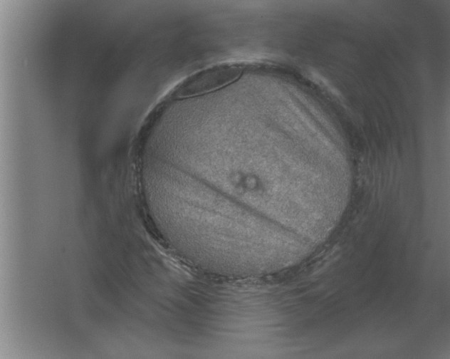 X0000067471208200604281845