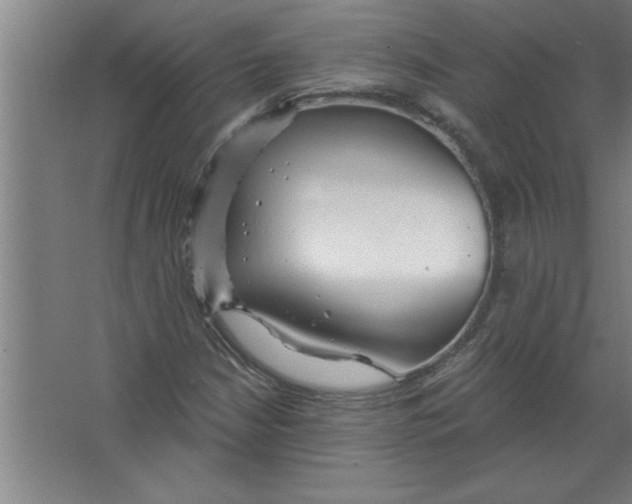 X0000067471210200604281845