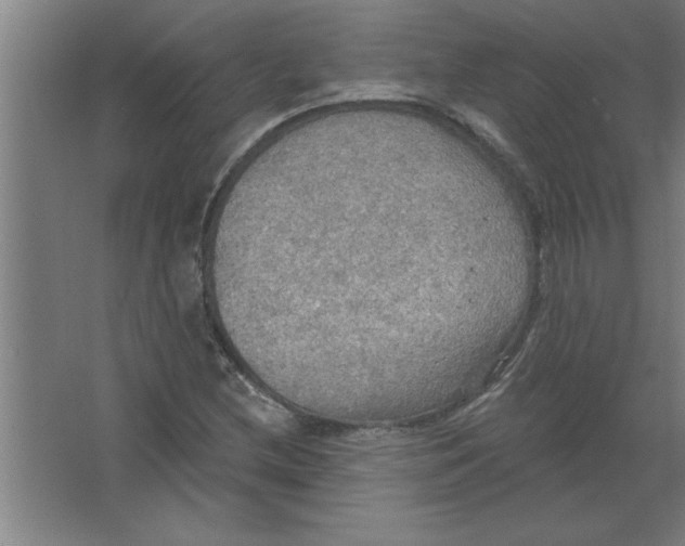 X0000067471212200604281845