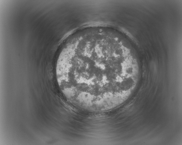 X0000067471213200604281845