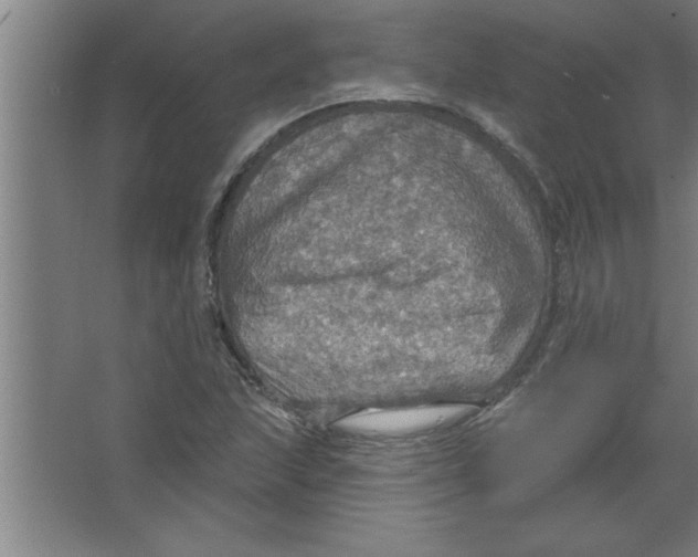 X0000067471215200604281845