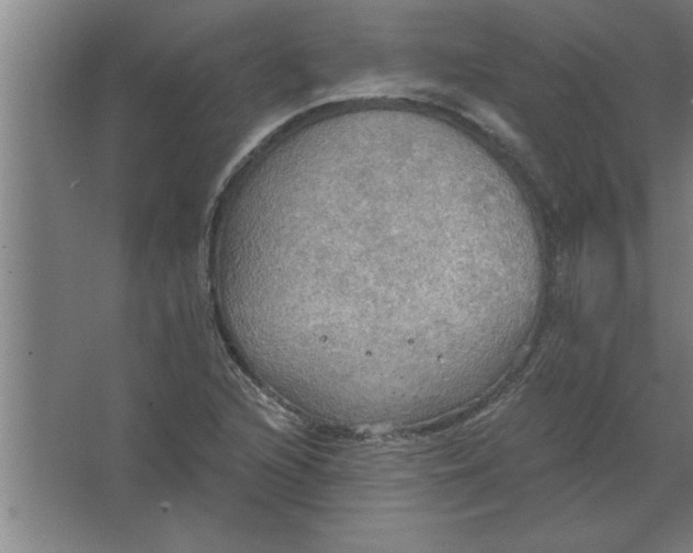 X0000067471216200604281845