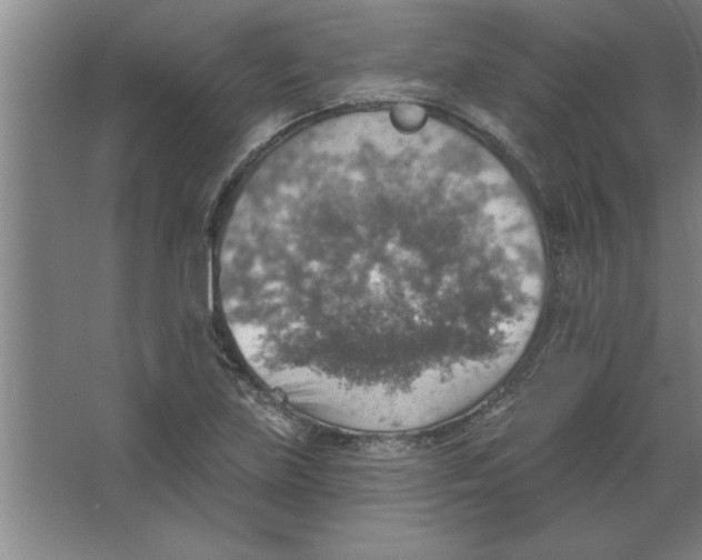 X0000067471219200604281845