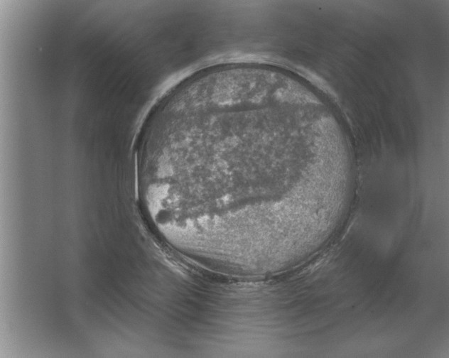 X0000067471223200604281845