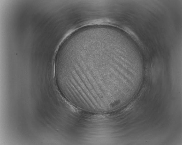 X0000067471224200604281845