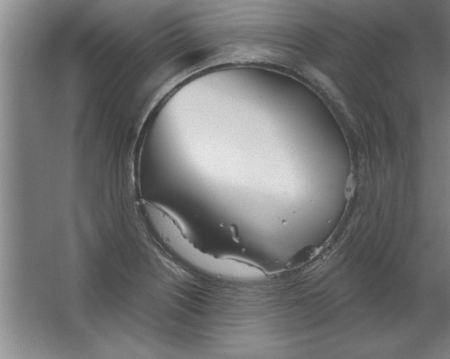 X0000067471226200604281845