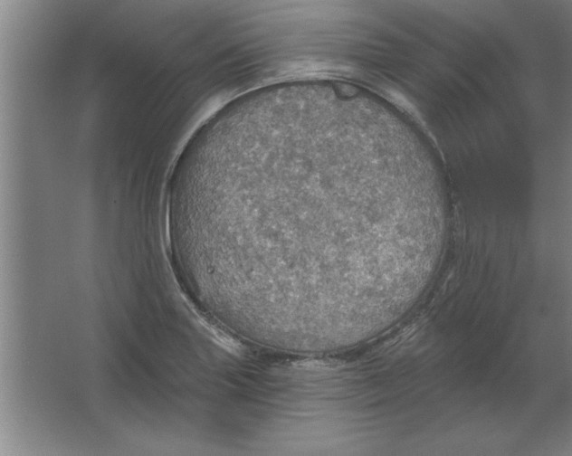 X0000067471227200604281845