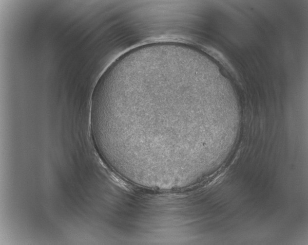 X0000067471228200604281845