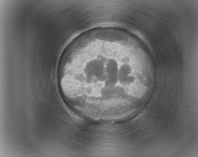 X0000067471229200604281845