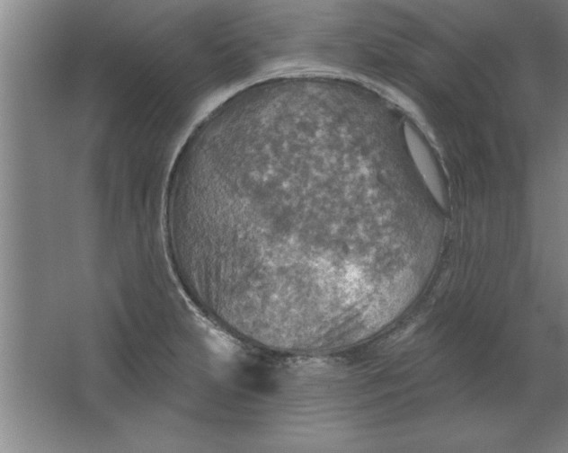 X0000067471231200604281845