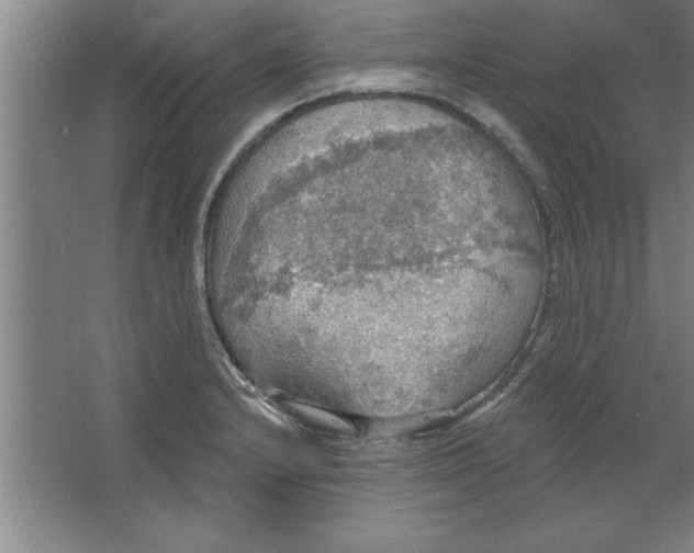 X0000067471232200604281845