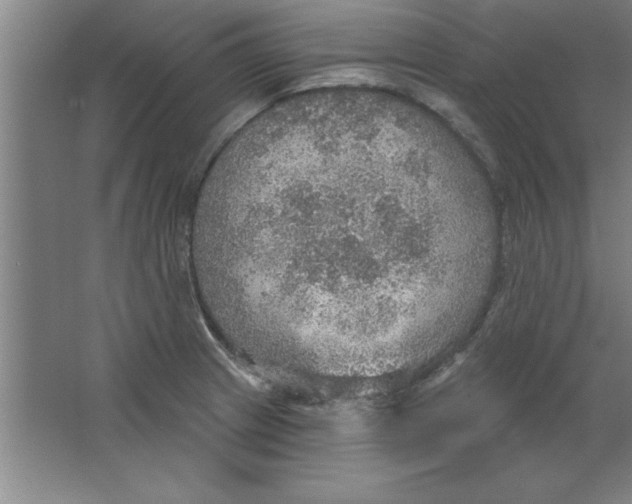 X0000067471233200604281846